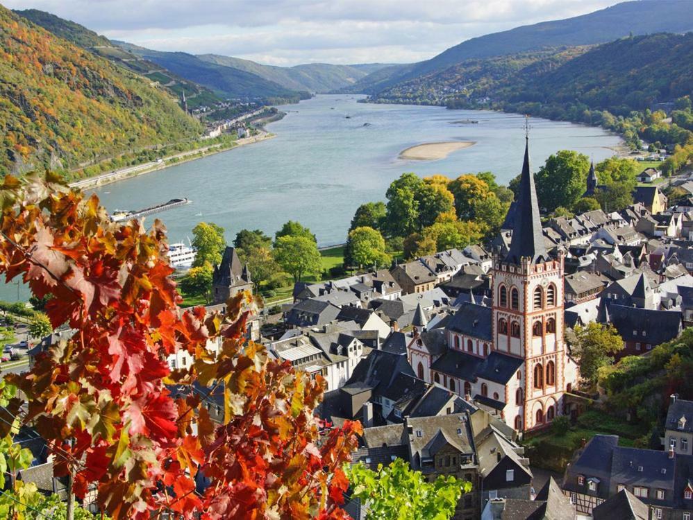 Ferienwohnung "Gecko" Andernach Buitenkant foto